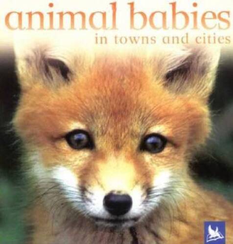 Animal Babies in Towns and Cities - Board book - VERY GOOD - Editors of Kingfisher